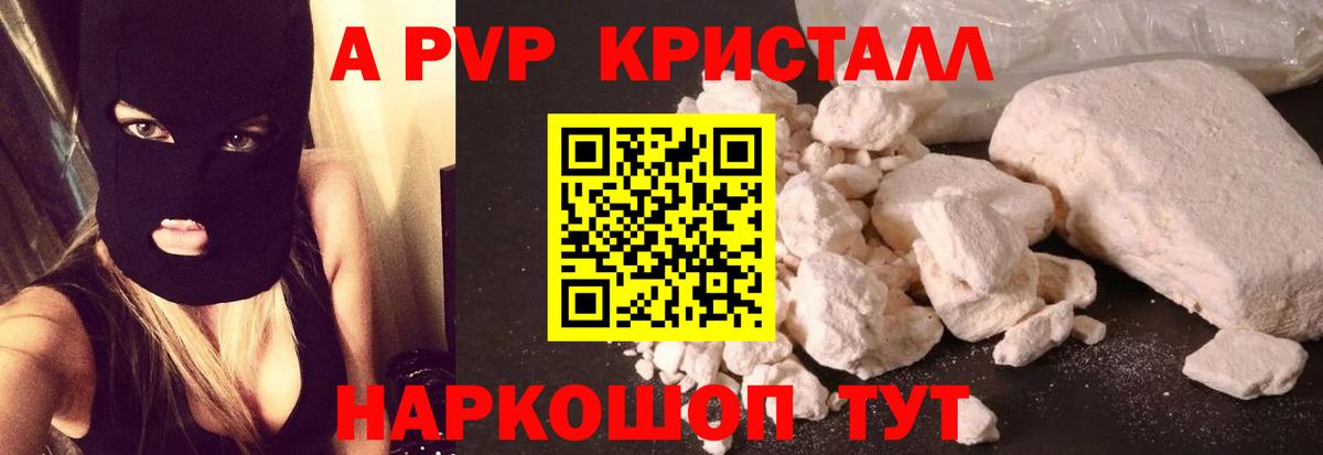Альфа ПВП СК КРИС Курск