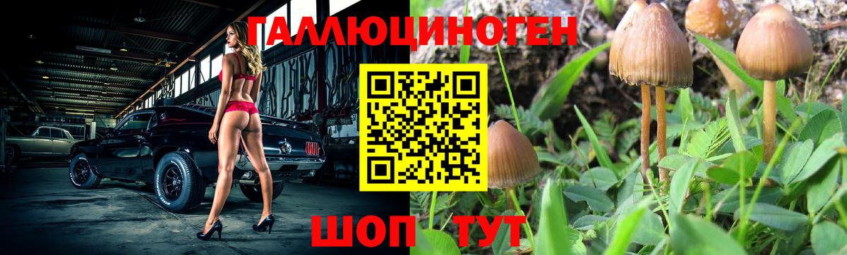Курск  Галлюциногенные грибы мицелий  Вход с VPN 